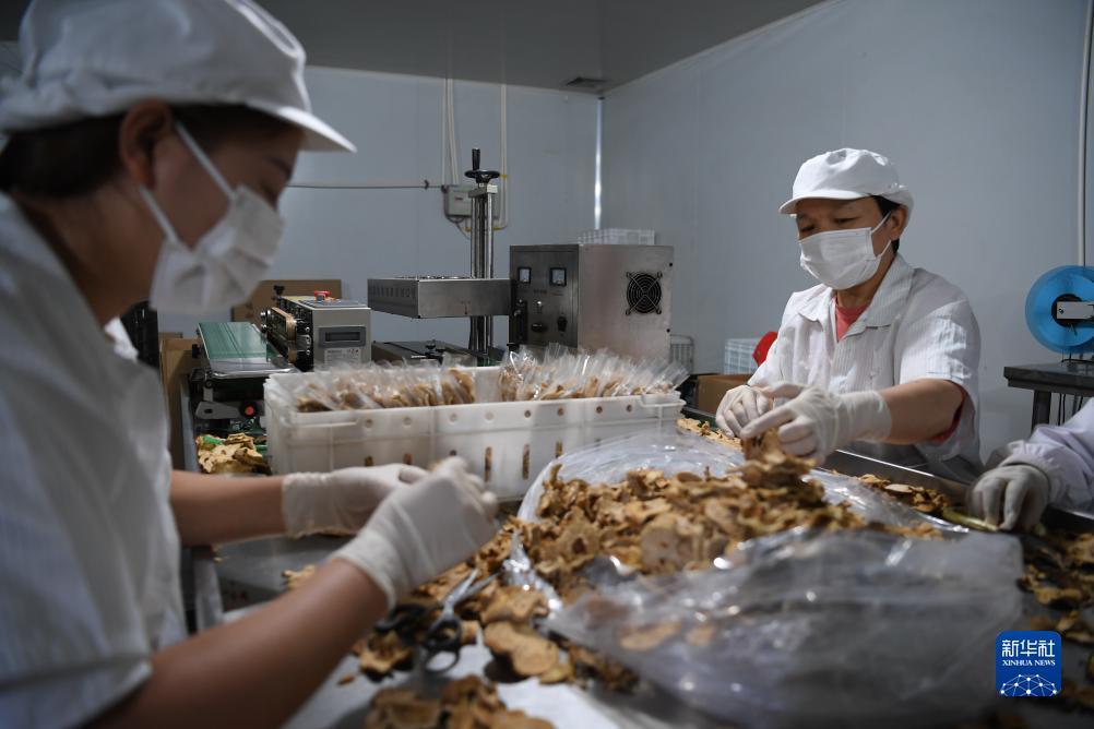 棋牌游戏官网